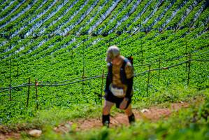 BIB: 
                            <button type="button" onclick="openModal(19164614)" class="btn btn-primary btn-sm float-right btn-popup" data-toggle="modal" data-target=".modal-high-quality">
                        <i class="fas fa-shopping-cart"></i> Add to Cart
                    </button>
                                            <button type="button" onclick="isThisMe(19164614, true)" class="btn btn-success btn-sm float-right btn-popup btn-isme hidden" data-toggle="tooltip" data-placement="bottom" title="นี่คือรูปของคุณใช่ไหม คลิกที่นี่เพื่อเอาเข้าอัลบั้ม">
                        <i class="fas fa-plus"></i> Add to album
                    </button>
                    <button type="button" onclick="isThisMe(19164614, false)" class="btn btn-warning btn-sm float-right btn-popup btn-isnotme hidden">
                        <i class="fas fa-ban"></i> Remove from album
                    </button>